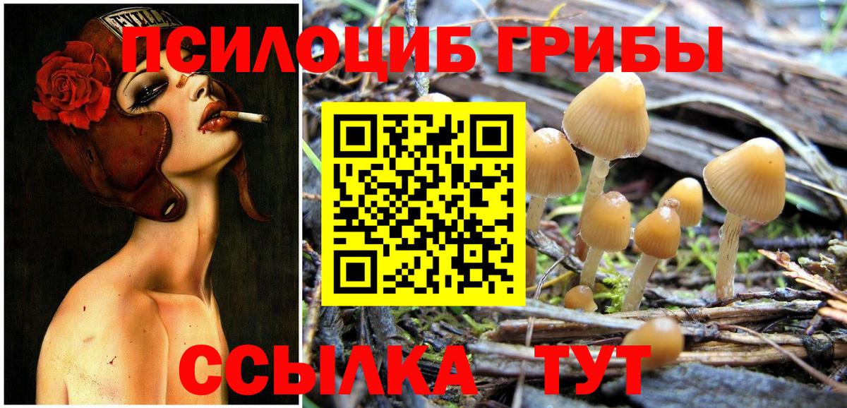 Муром  Псилоцибиновые грибы MAGIC MUSHROOMS  Вход с VPN 
